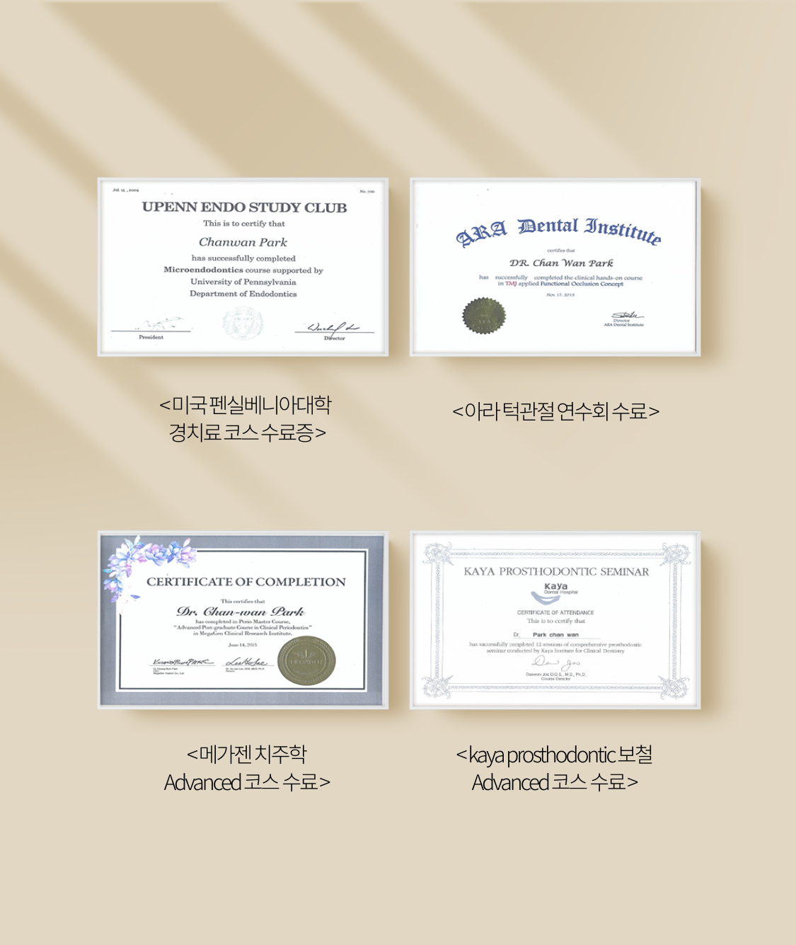 미국 펜실베니아대학 신경치료 코스 수료증, 아라 턱관절 연수회 수료, 메가젠 치주학 Advanced 코스 수료, kaya prosthodontic 보철 Advanced 코스 수료